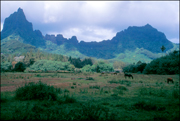 French Polynesia 13